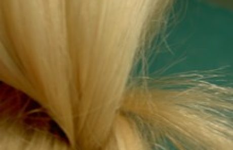 ארז ישראלי: ממש אותו הדבר