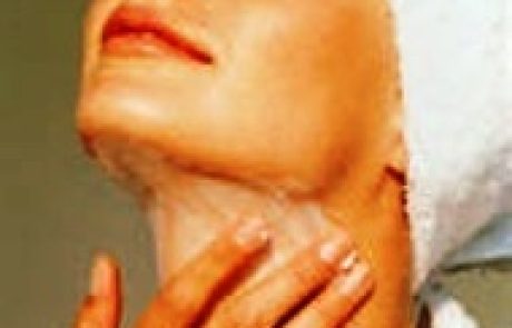 המדריך האסתטי לחיים