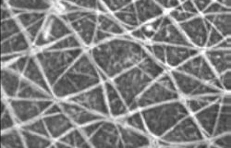 תאי גזע – חלום או מציאות?