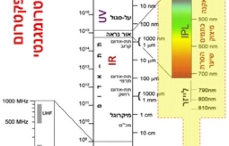 מילון מונחים טכנולוגיים לקוסמטיקאית