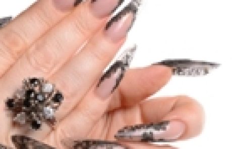 נייל סטודיו הביאה את חו"ל לישראל