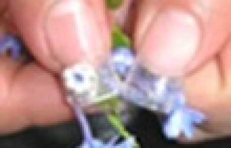 טיפים לטיפוח היד והציפורן