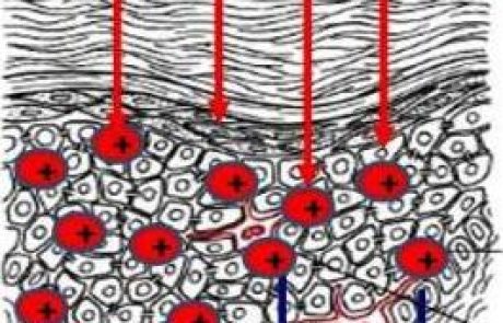 קוסמטיקה: איך כדאי לקלף?