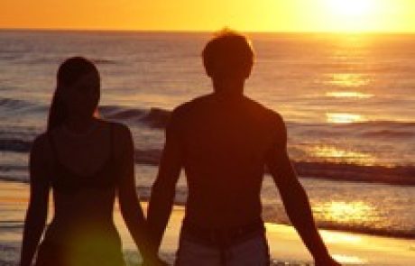 הבחור של שולי