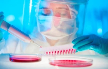 הכול עניין של די. אן. איי