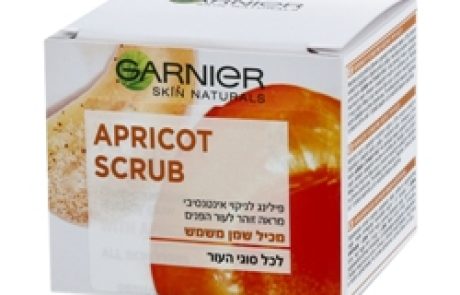 GARNIER: מסכת טישו FRESH MIX