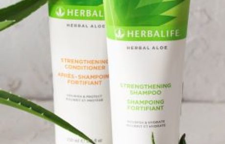 הרבלייף: שמפו ומרכך HERBAL ALOE